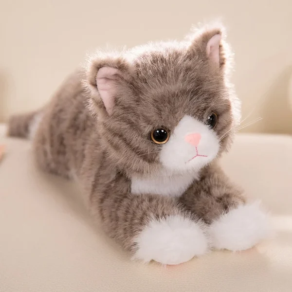 doudou chat marron câlin